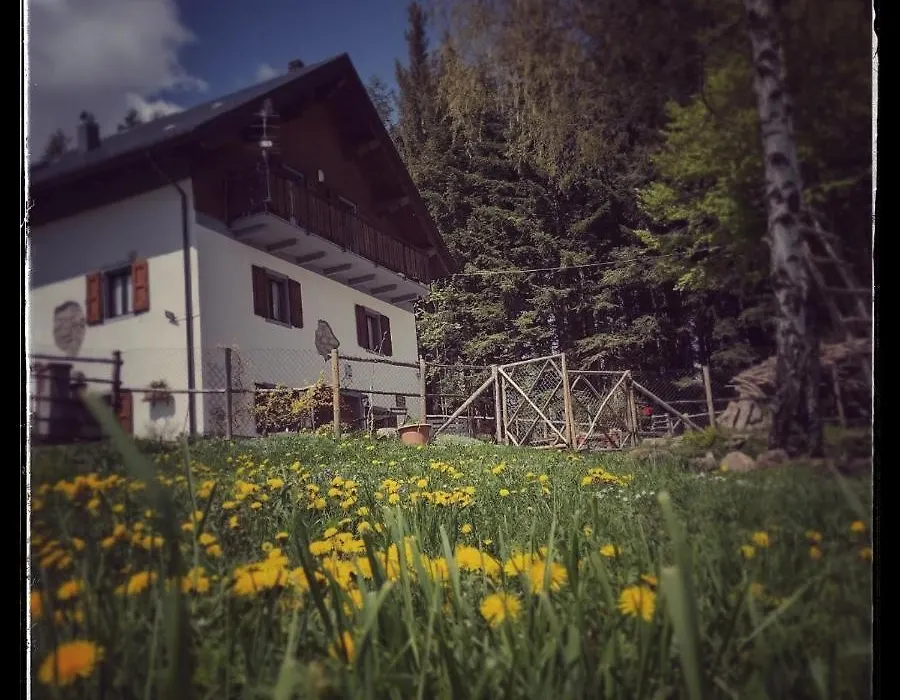 B&B Alle Betulle-1